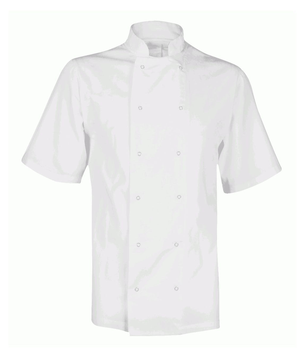 Chef's Jacket Unisex Short Sleeve| White - Eg Clothing UK