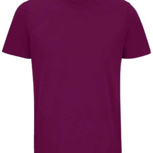 SOL'S Unisex Legend Organic T-Shirt | Astral Purple