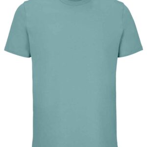 SOL'S Unisex Legend Organic T-Shirt | Pool Blue