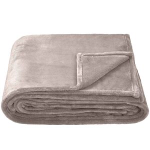 Brand Lab Extra Large Plush Fleece Blanket | Silver Grey