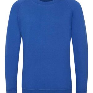 AWDis Academy Kids Raglan Sweatshirt | Royal Blue