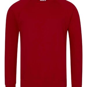 AWDis Academy Senior Raglan Sweatshirt | Claret