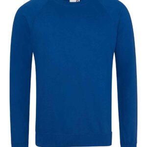 AWDis Academy Senior Raglan Sweatshirt | Royal Blue
