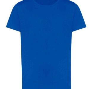 AWDis The 100 Kids T-Shirt | Royal Blue