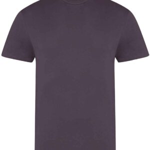 AWDis The 100 T-Shirt | Wild Mulberry