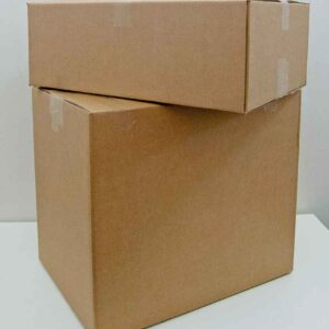 Blank Carton | Brown