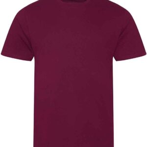 Ecologie Cascades Organic T-Shirt | Burgundy