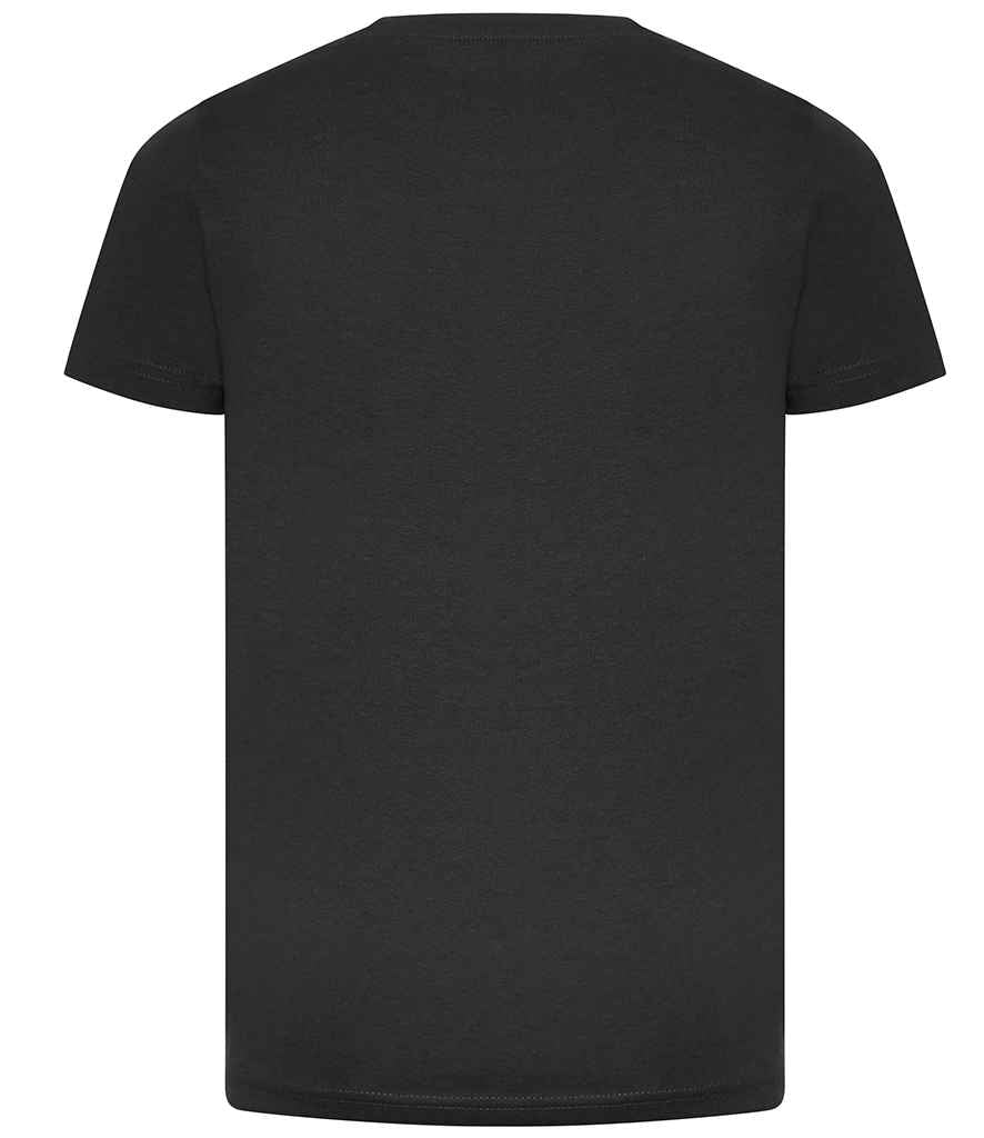 Ecologie Kids Cascades Organic T-Shirt | Charcoal - Image 2