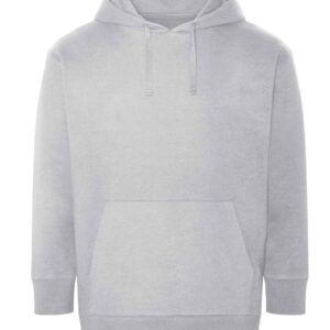 Ecologie Unisex Crater Recycled Hoodie | Heather Grey