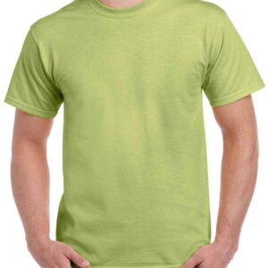 Gildan Ultra Cotton™ T-Shirt | Pistachio