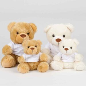 Mumbles Bear in a T-Shirt | Brown