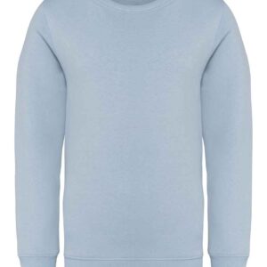 Native Spirit Kids Crew Neck Sweatshirt | Aquamarine