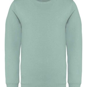 Native Spirit Kids Crew Neck Sweatshirt | Jade Green