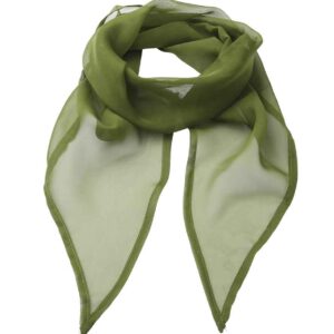 Premier 'Colours' Chiffon Scarf | Oasis Green