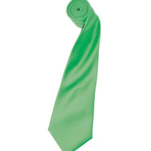 Premier 'Colours' Satin Tie | Apple Green