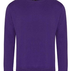 Pro RTX Pro Sweatshirt | Purple