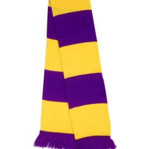 Result Team Scarf | Purple/Yellow
