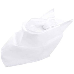 SOL'S Bandana | White